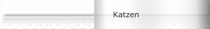 Katzen