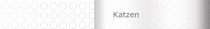 Katzen